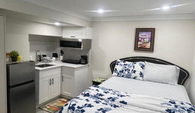 Luxury Basement-Private Bdr & Bathroom with free parking In Toronto