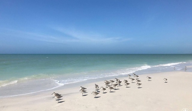 Luxury Beach Getaway in Charming Dunedin