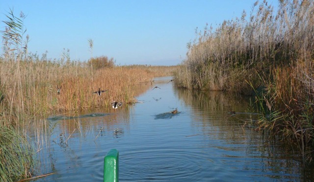 Luxury Beach House in the Albufera Nature Park