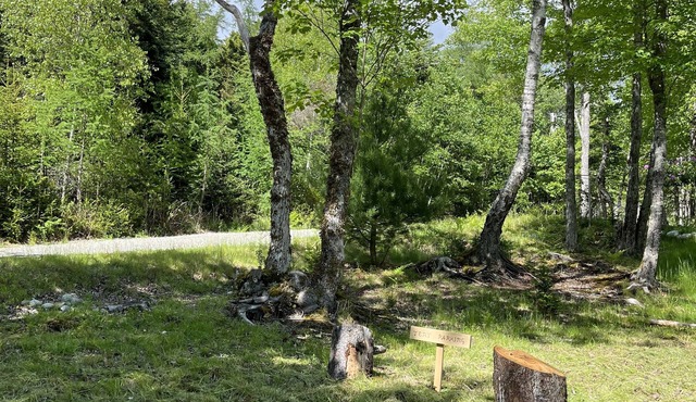 Luxury Bell Tent steps from Acadia National Park.