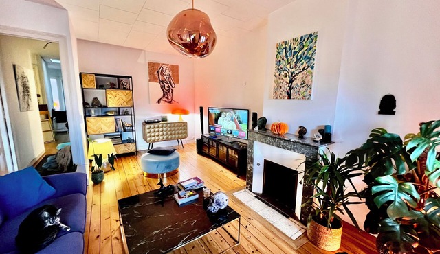 Luxury Bordeaux apartment