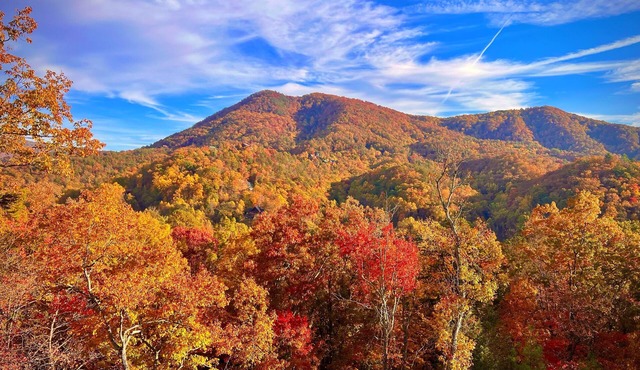 Luxury cabin! Amazing Mountain Views! Hot Tub! Movie Room! Pet-friendly! Peloton