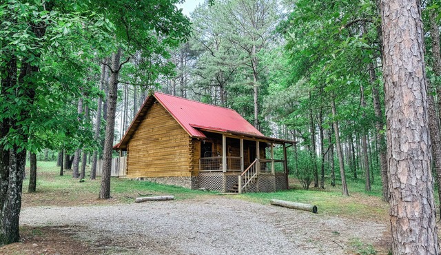 Luxury cabin getaway on a 40 acre retreat