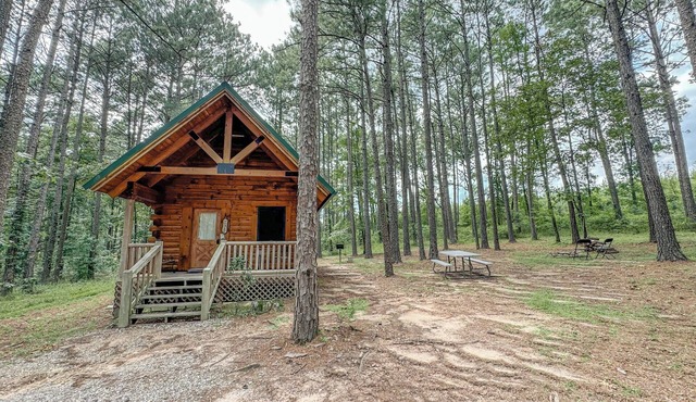 Luxury cabin getaway on a 40 acre retreat