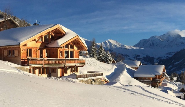 Luxury cabin - magnificent view on the Mont Blanc 15 beds. Easy access