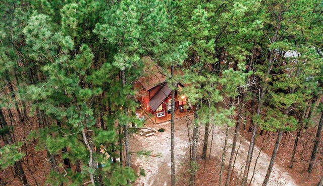 Luxury Cabin Near Lake - Sauna, Cold Plunge, Hot Tub, Fire Pit, & Games