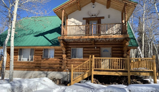 Luxury cabin on wooded lot w/bonus tiny house
