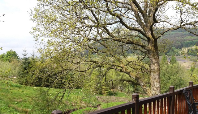 Luxury Cabin with Stunning Views