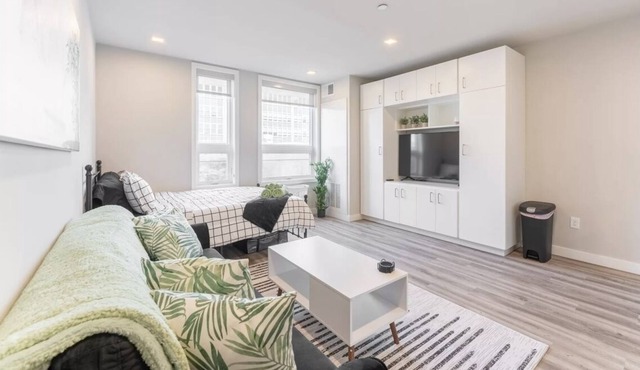 Luxury Center City Apartment Near Jefferson Hospital, Temple, and CCP