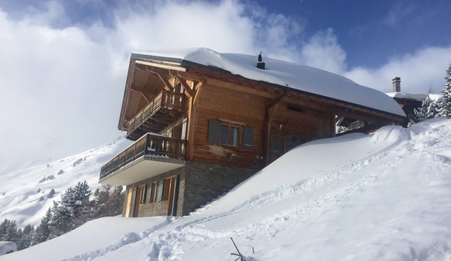 Luxury family chalet with 5 bedrooms in Les Crosets - ski in/ski out