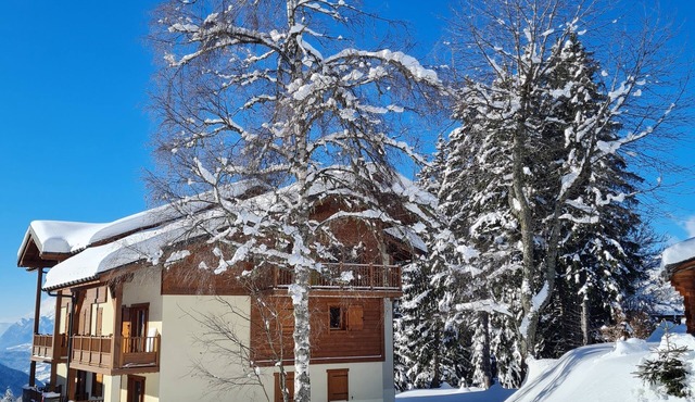 Luxury chalet apartment at the foot of the slopes at Le Cernix - Crest Voland