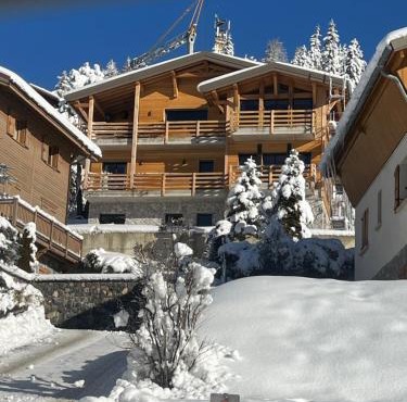 Luxury Chalet Valberg sauna jacuzzi gym- 1hour from Nice airport