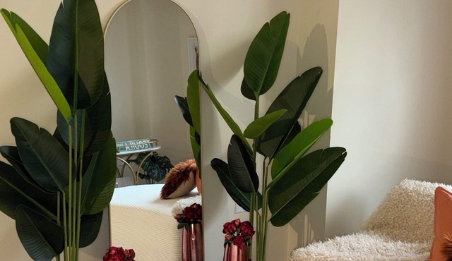 Luxury, Chic apartment with Gym, Game-Room and Movie Theatre Room