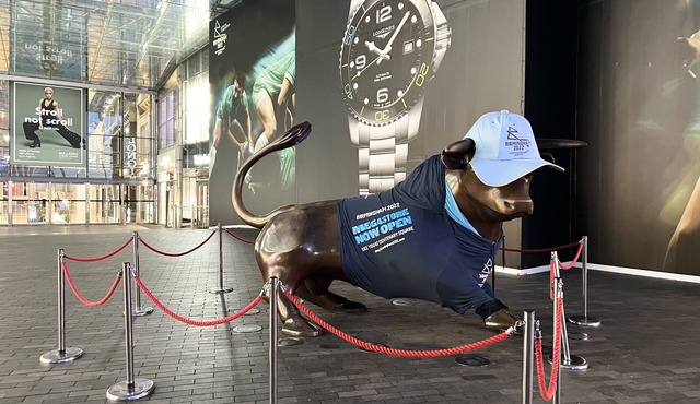 Luxury City Apartment