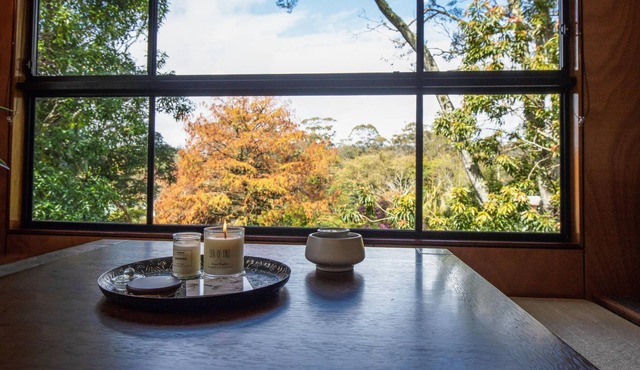 Luxury, Comfort and Convenience in the Rainforest. Pet friendly.