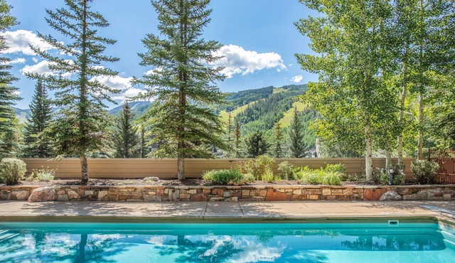 Luxury Condo w Mtn View, walk to Gondola, SV22B