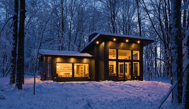Luxury contemporary cabin escape - 10 min to downtown