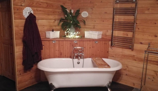 Luxury cosy cabin New Forest