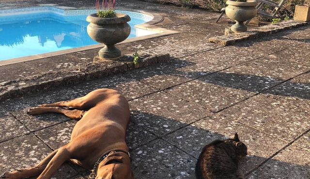 Luxury Cotswold House +Cottage. Sleeps 12-14. Pool, gym, gardens, parking.