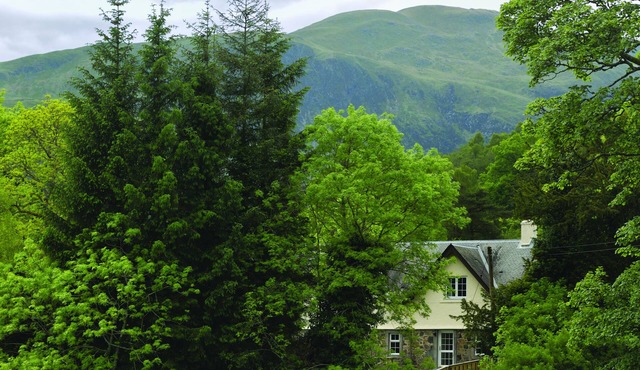Luxury Cottage-Countryside View Orchard Cottage