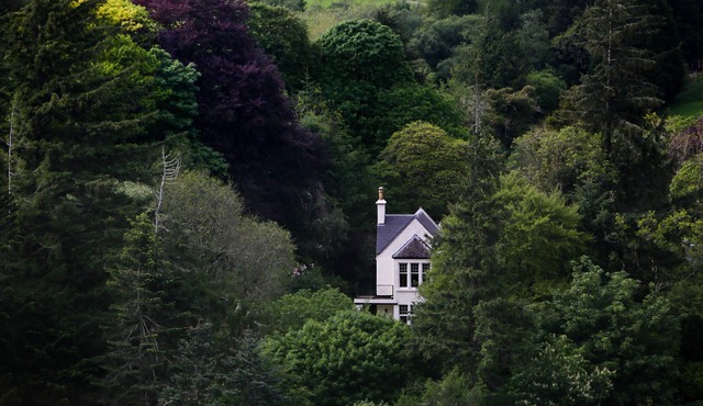 Luxury country house set in its own little forest