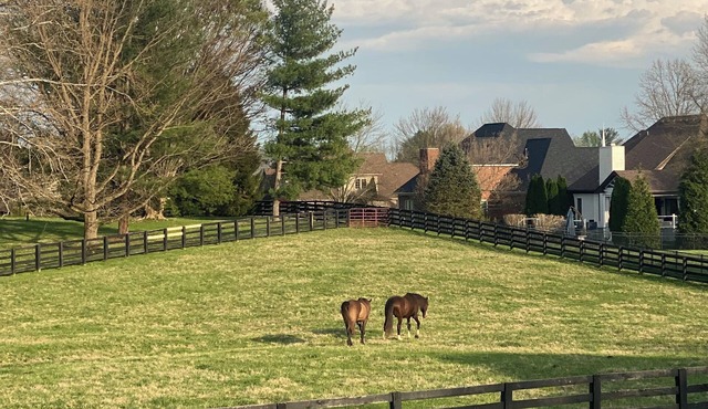Luxury Derby Home in Prospect Area/Sleeps 12+/Backs to Horse Farm