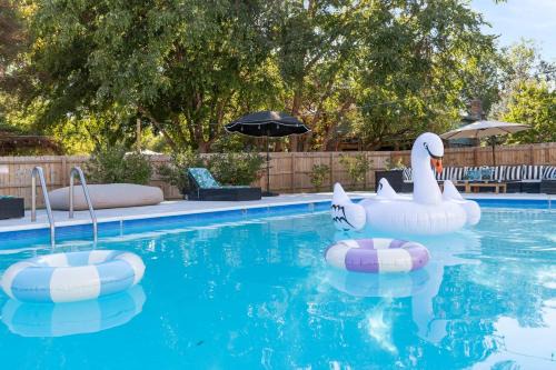 Luxury Designer Home Theatre Games & BBQ Grill