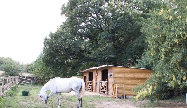 Luxury Dog Friendly Peak District Barn. Amazing Walks, Village pub & restaurant.