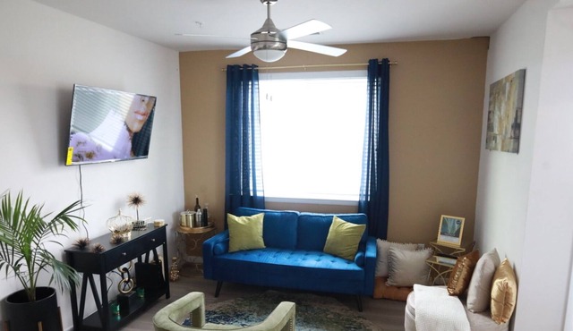 Luxury Downtown Baltimore Apt ,Gym, & Free street parking. Close to Inner Harbor
