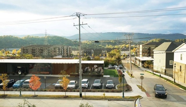 Luxury Downtown Oasis | Fully Disinfected