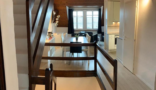 Luxury Duplex Vue Chateau