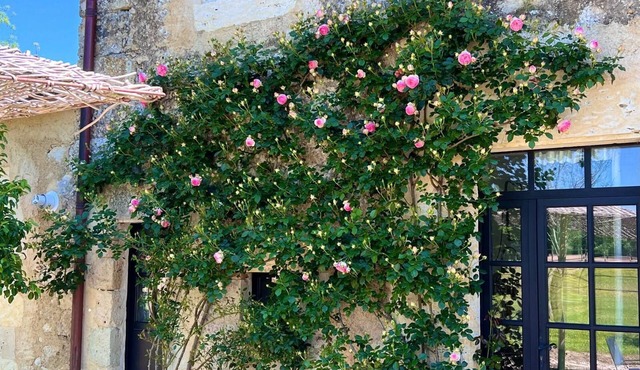 Luxury escape - Near Lectoure