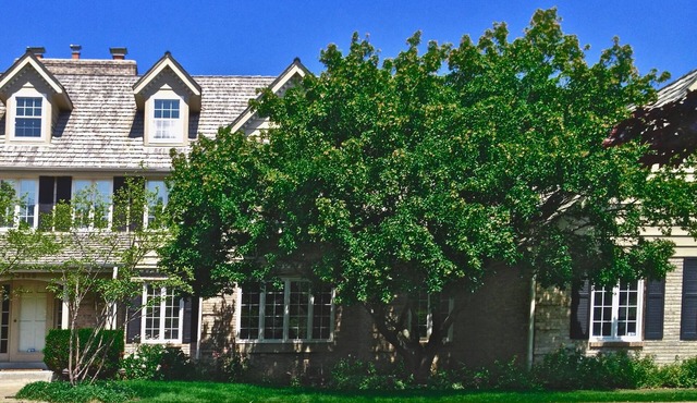 Luxury Estate Home 13 miles to DNC