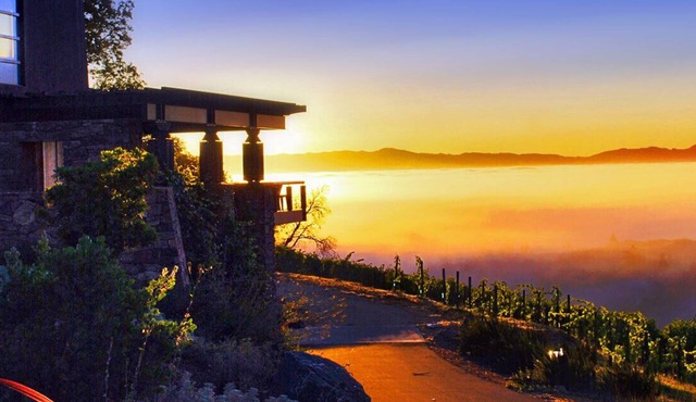 Luxury Estate Home in the Heart of the Vineyard