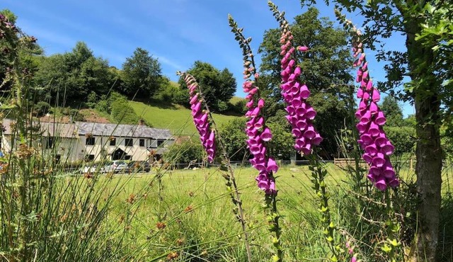 Luxury Exmoor Barn conversion with Sauna