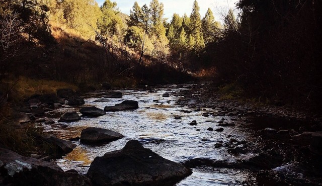 Luxury Family Cabin - Swan Valley ID