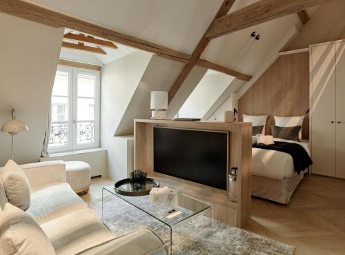 Luxury Flat in Le Marais