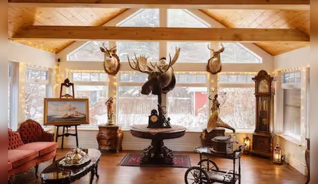 Luxury Forest Retreat Near Mansfield Ski Club