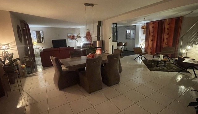 LUXURY VILLA *Heated SWIMMING POOL* IN THE HEART OF THE CHATEAUX 15 mn BAUVAL ZOO.