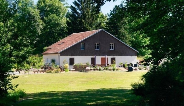 Luxury Vosgian Farmhouse: Sauna, Jacuzzi, Games, Spacious Terrace, Pet-Friendly, Sleeps 16