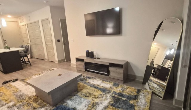 Luxury Frisco with two queen beds sleeps 4 Universal kids resort and FIFA Stay!