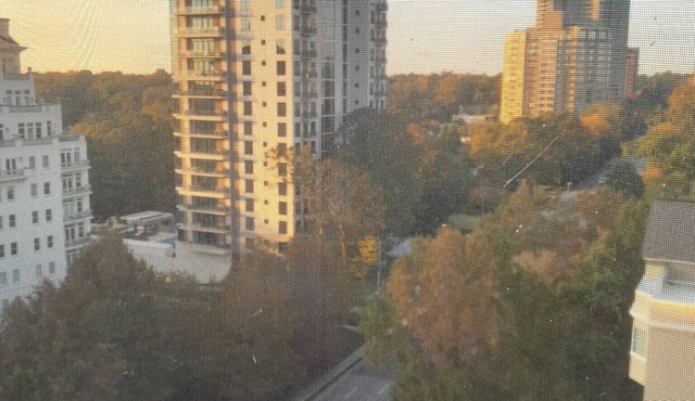 Luxury Fully Furnished Studio Condo