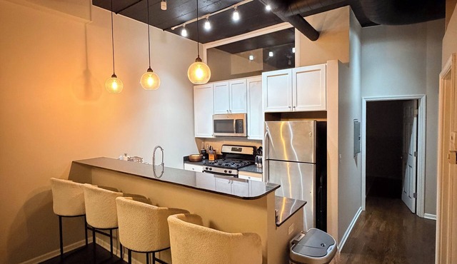 Luxury Furnished 2-bedroom Loft- walking distance to UIC and Medical district