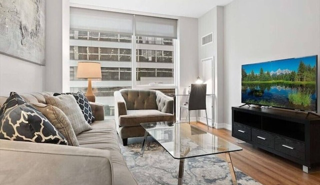 Luxury furnished apartment