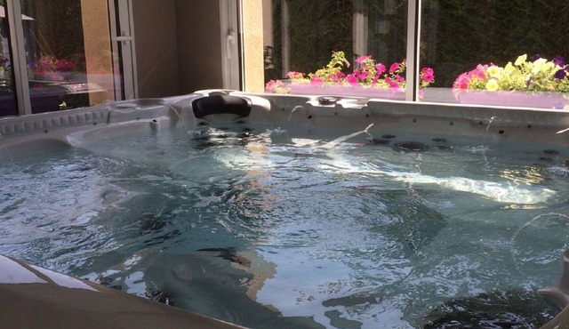 luxury gite 3 * 12 people jacuzzi, spa Châteaux of the Loire Touraine