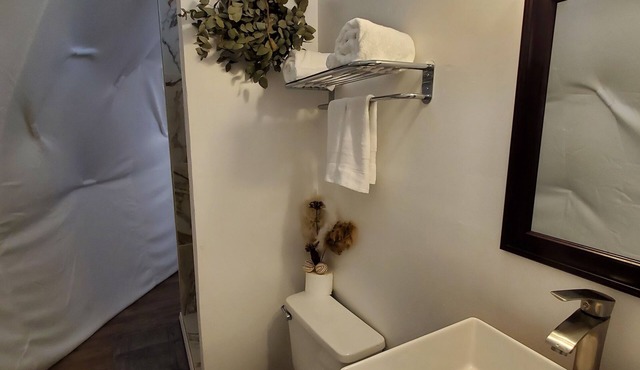 Luxury Glamping Domes