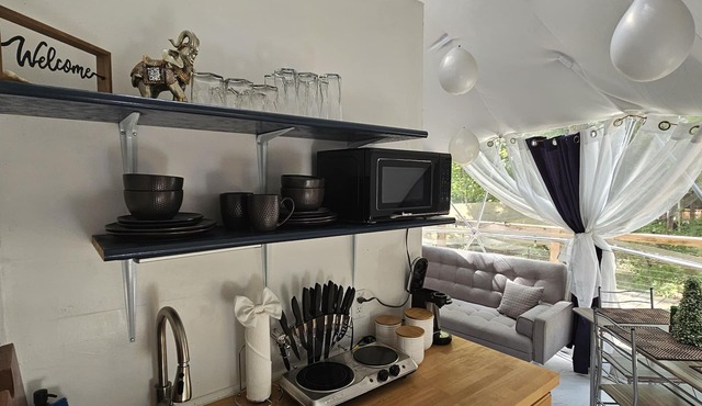 Luxury Glamping Domes