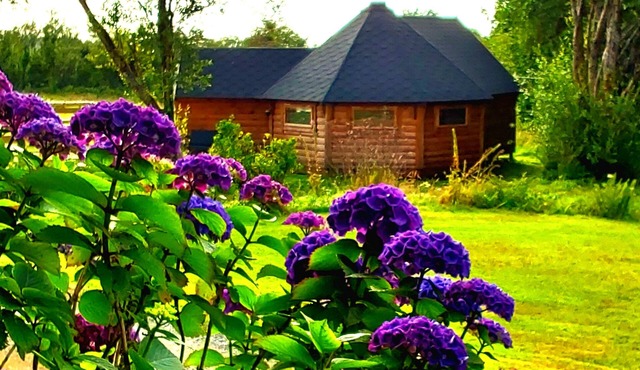 Luxury Glamping in Hobbit Lodge, quiet, relaxing for that special break away.