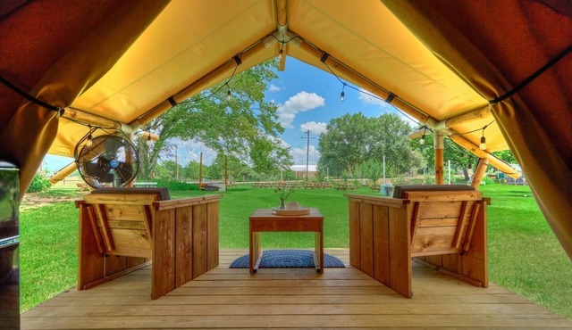 Luxury Glamping on a Honey Farm!