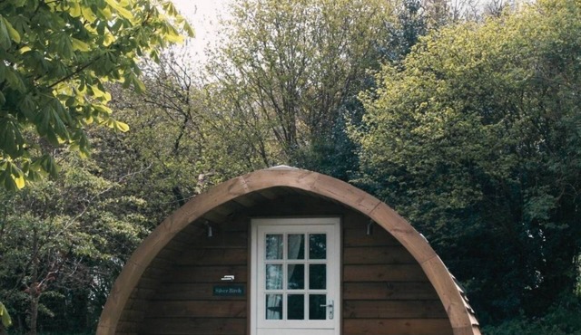 Luxury Glamping Pod - Scotch Pine
